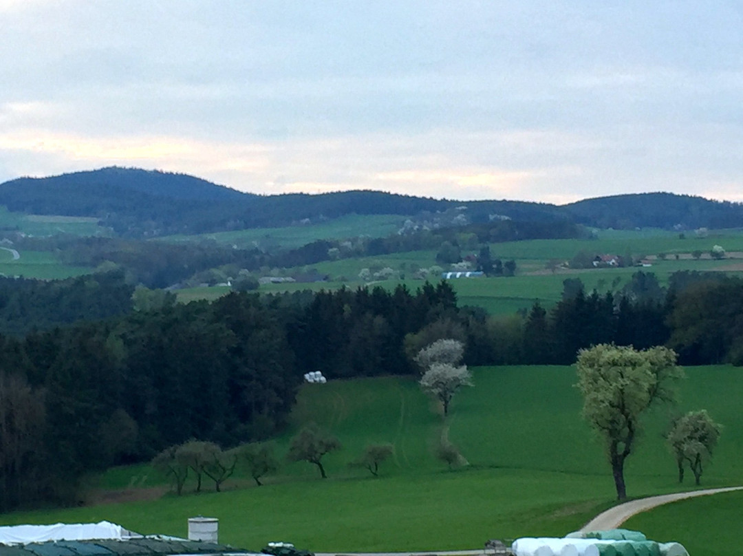 Willi's Bauernhof
