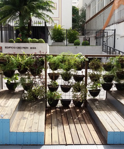 Rua Oscar Freire Shopping Street景点门票图片