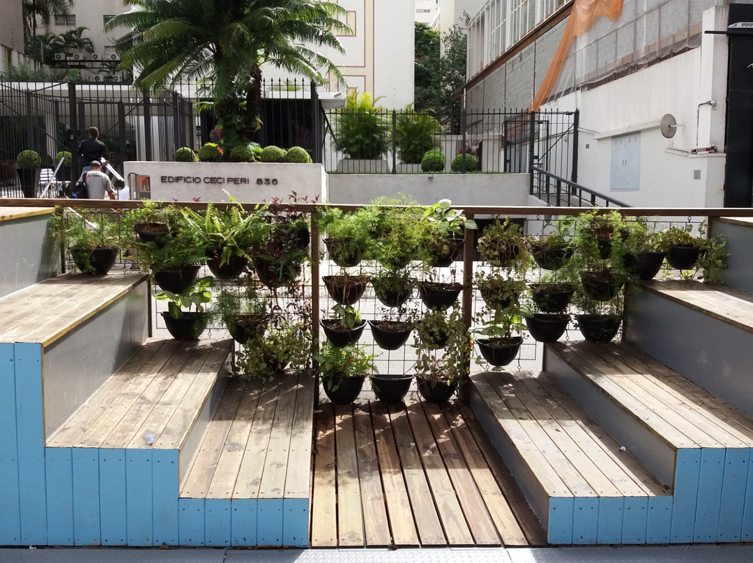 Rua Oscar Freire Shopping Street-圣保罗必去景点