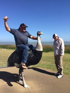 Birdman of the Coorong-Meningie必去景点