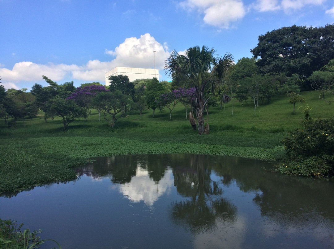 Parque Central Santo André景点图片