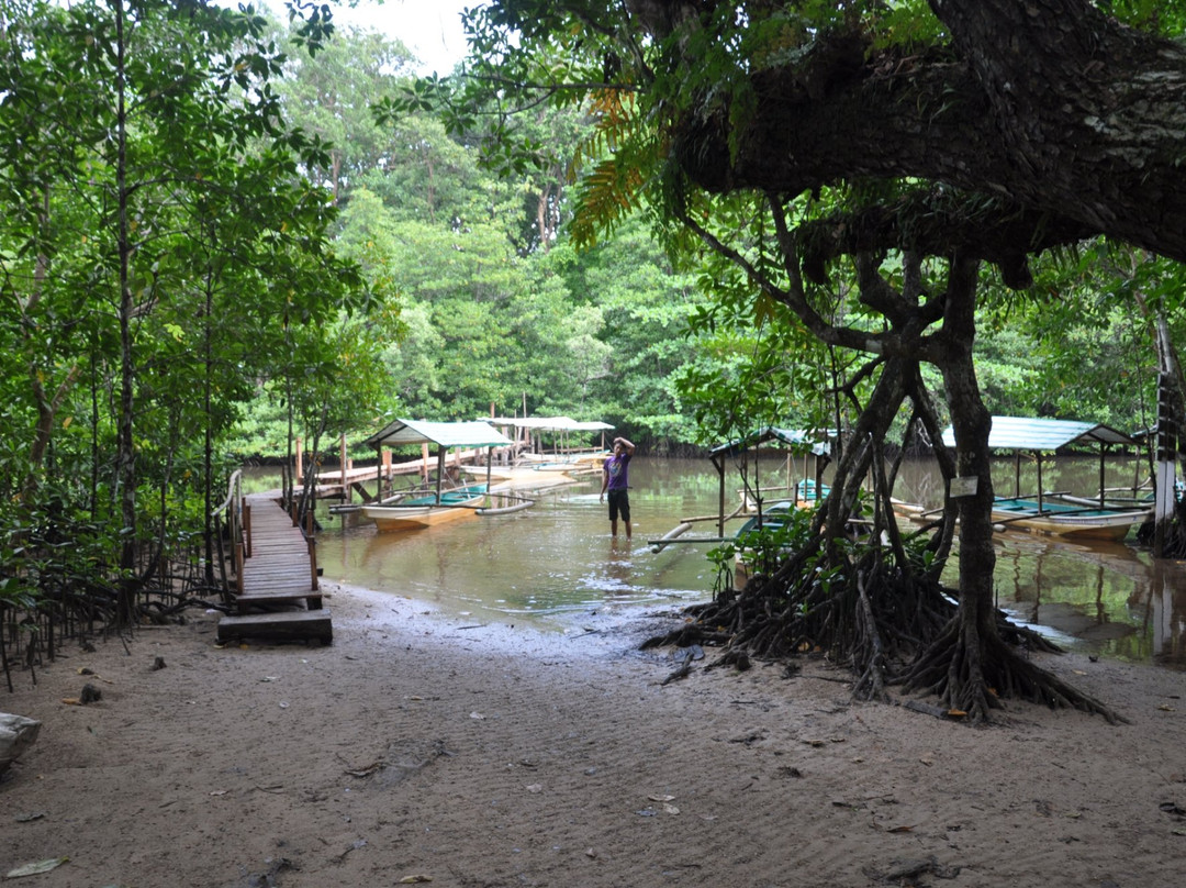 Mangrove River景点图片