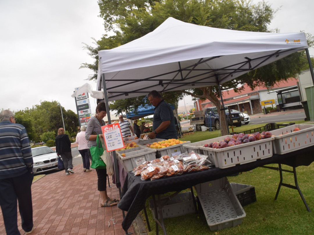 Victor Harbor Farmers Market-维克多港必去景点