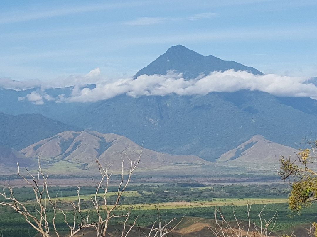 Tallebudgera旅游景点-Our Spirit Adventures