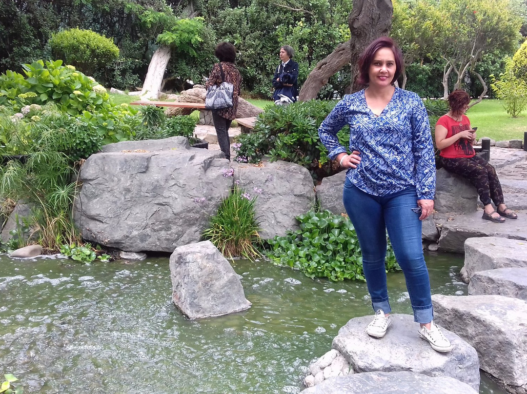 Playa El Faro-拉塞雷纳必去景点