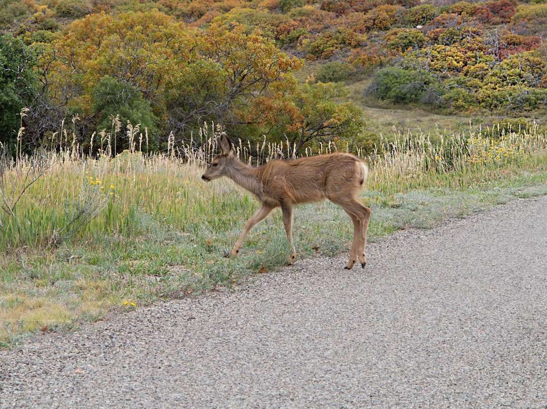 Point Lookout Trail-梅萨维德国家公园必去景点