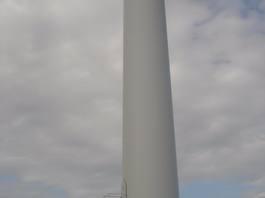 Vader Piet Wind Farm-Santa Cruz必去景点