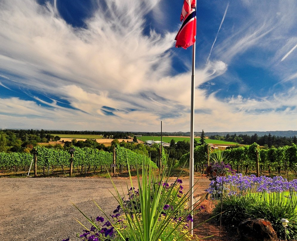 Stangeland Vineyards-塞勒姆必去景点