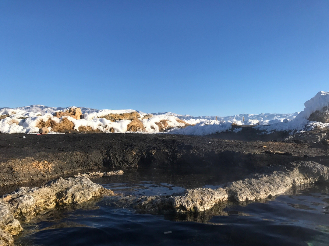 Meadow旅游攻略图片