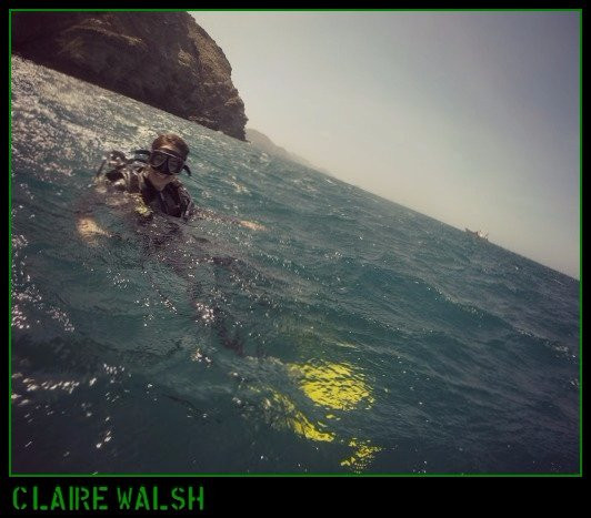 Caribbean Diving-位于塔甘加必去景点