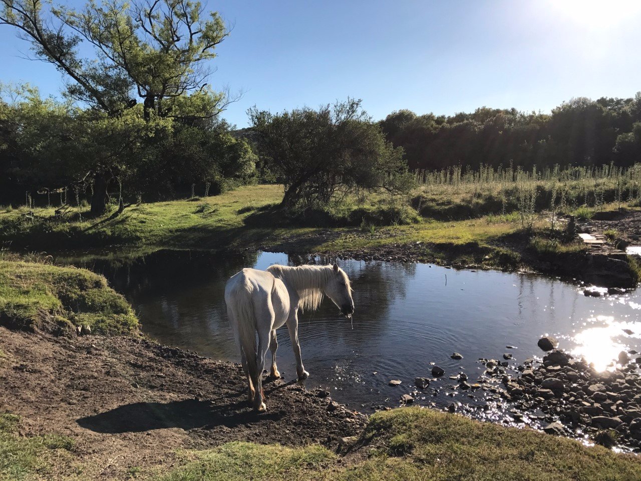 Posada de Campo El Porfiado-浴室