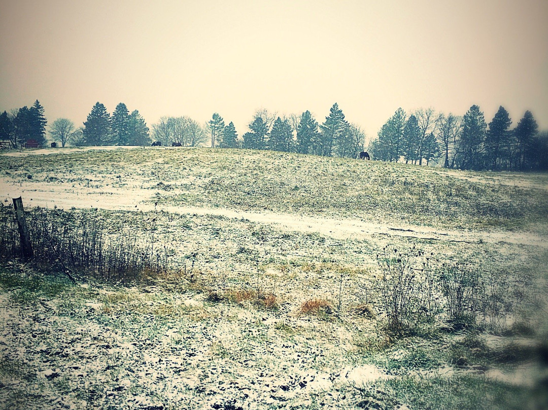 Dan Patch Stables-日内瓦湖必去景点