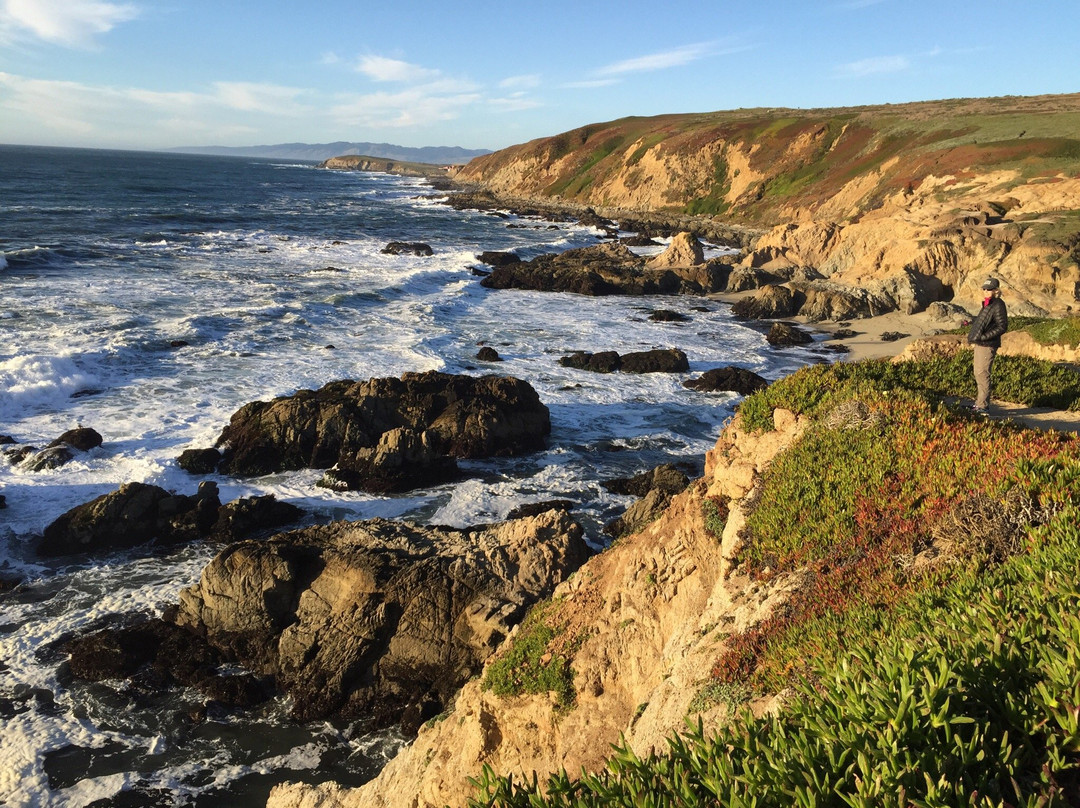 Wine Country Car And Driver-圣罗莎必去景点