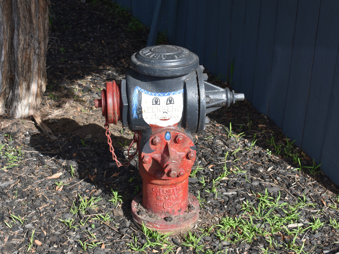 Fire Hydrant Plug Preserve-布里斯班必去景点