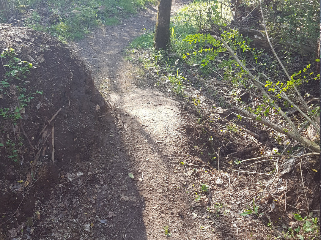 Chickasaw Trace County Park-哥伦比亚必去景点