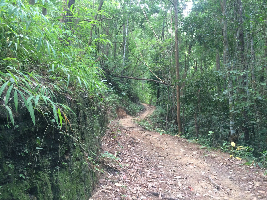 Doi Khun Tan National Park-夜塔必去景点