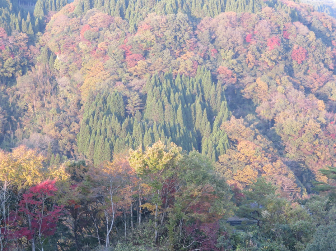 Soyokyo景点图片