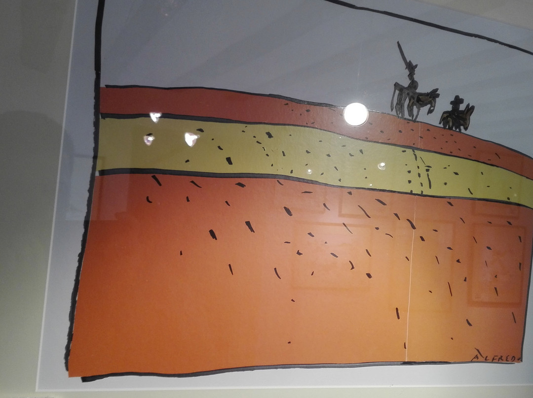 Museo Del Humor Grafico Dulcinea景点图片