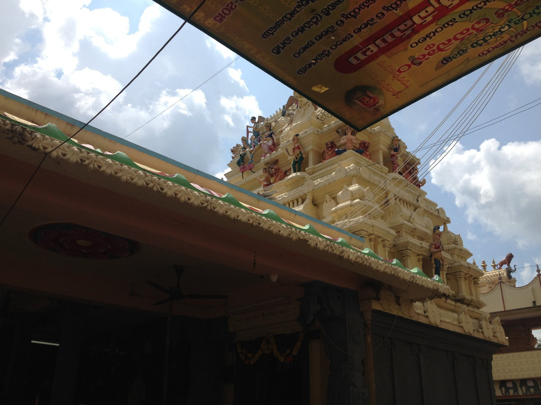 Appanapalli Temple景点图片