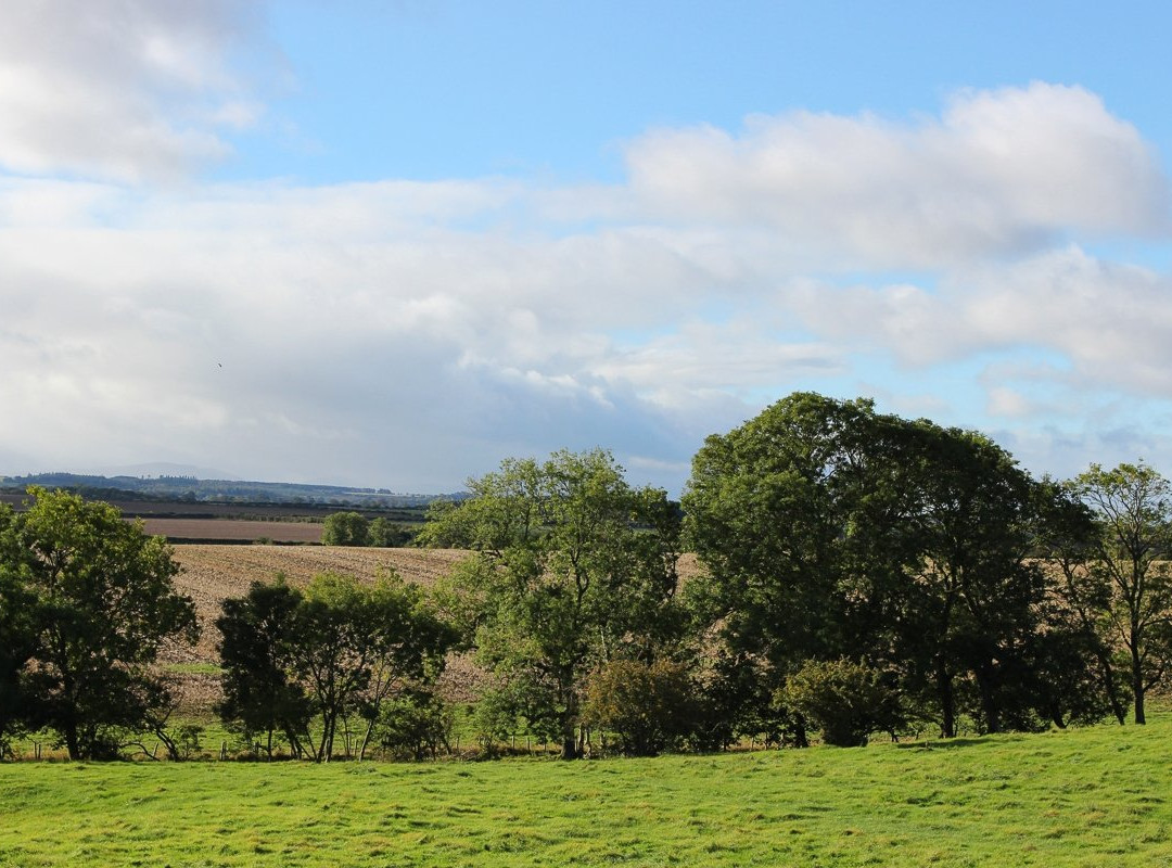 The Old Farm House主图