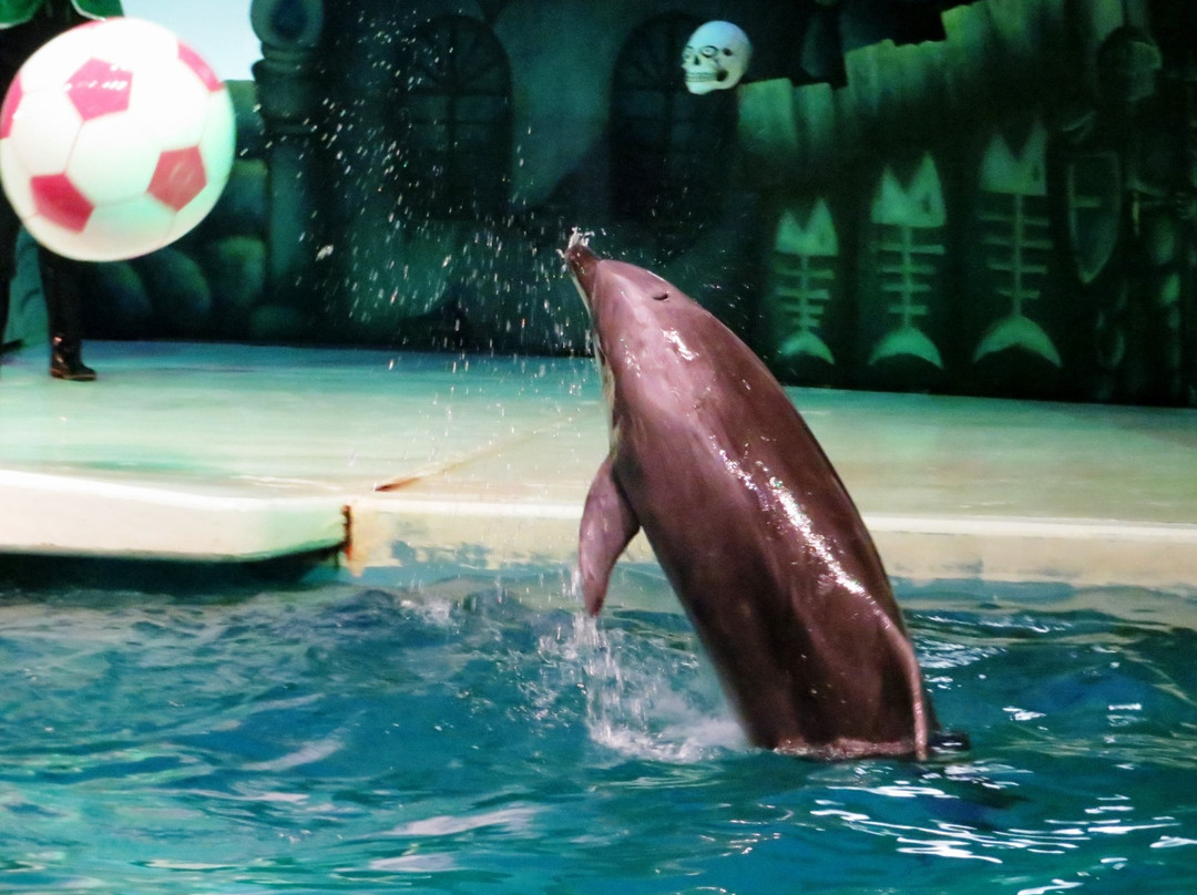 Keikyu Aburatsubo Marine Park-三浦市必去景点