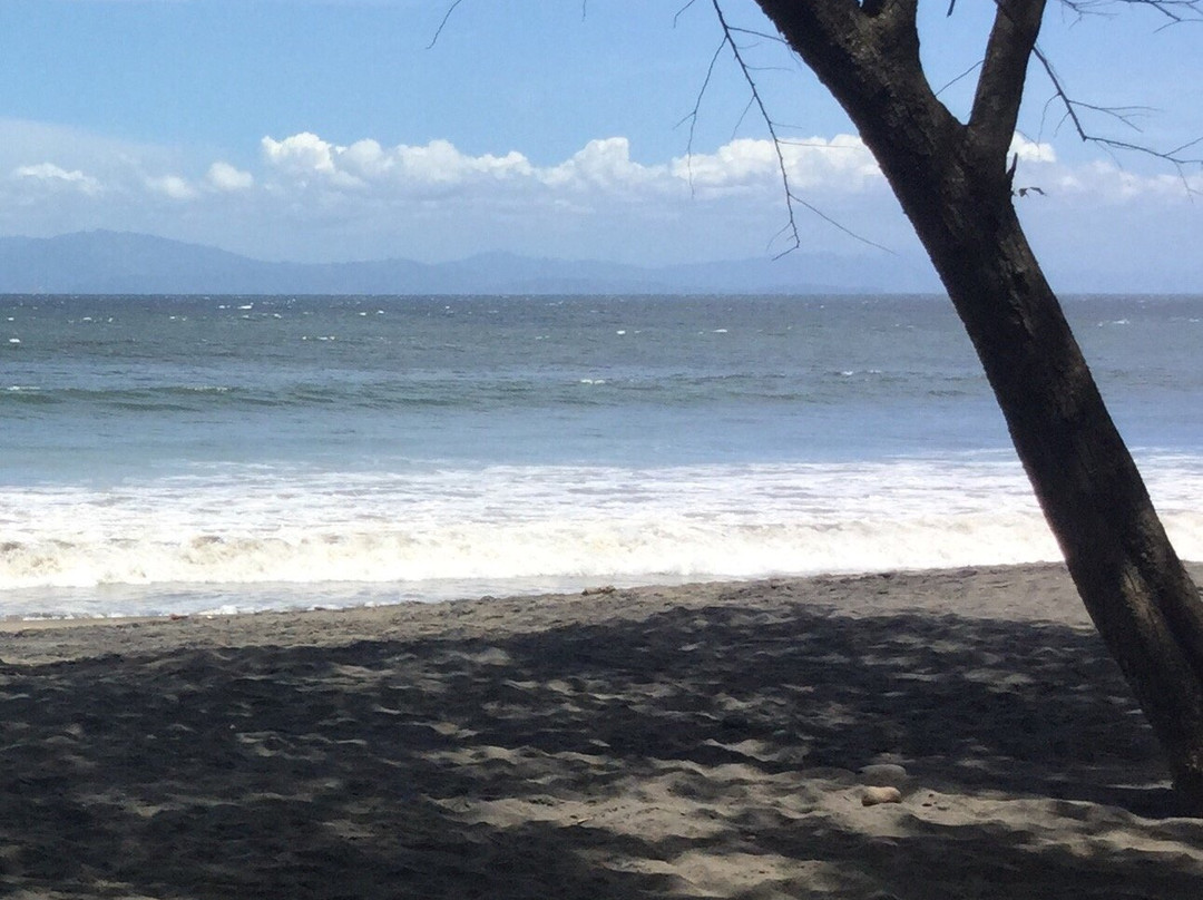 Playa Dona Ana景点图片