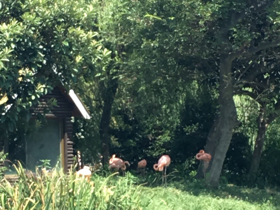 茱萸湾-扬州市必去景点
