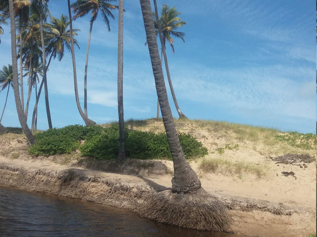 Massarandupio-萨尔瓦多必去景点