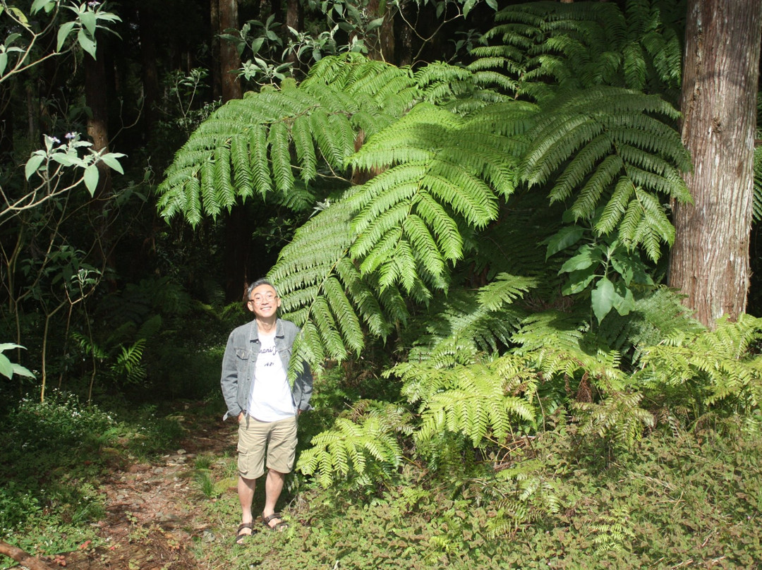 Forêt de Bébour景点图片