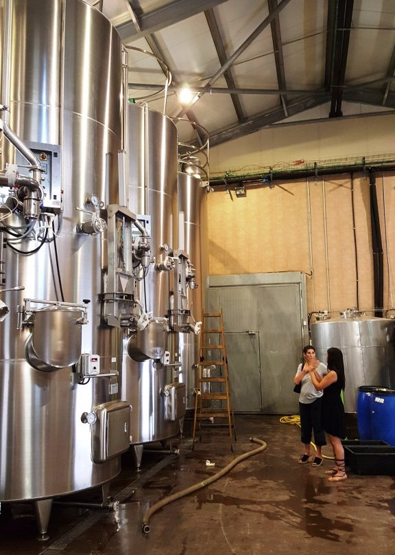 Vitkin Winery-Kfar Vitkin必去景点