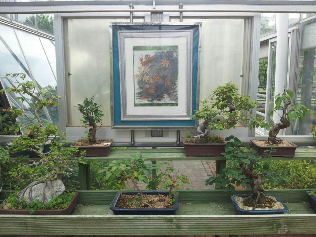 Ansan Botanical Garden-安山市必去景点