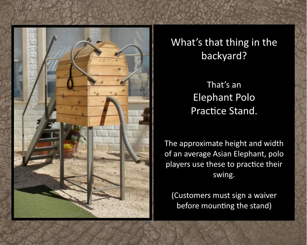 The Elephant Story-Comfort必去景点