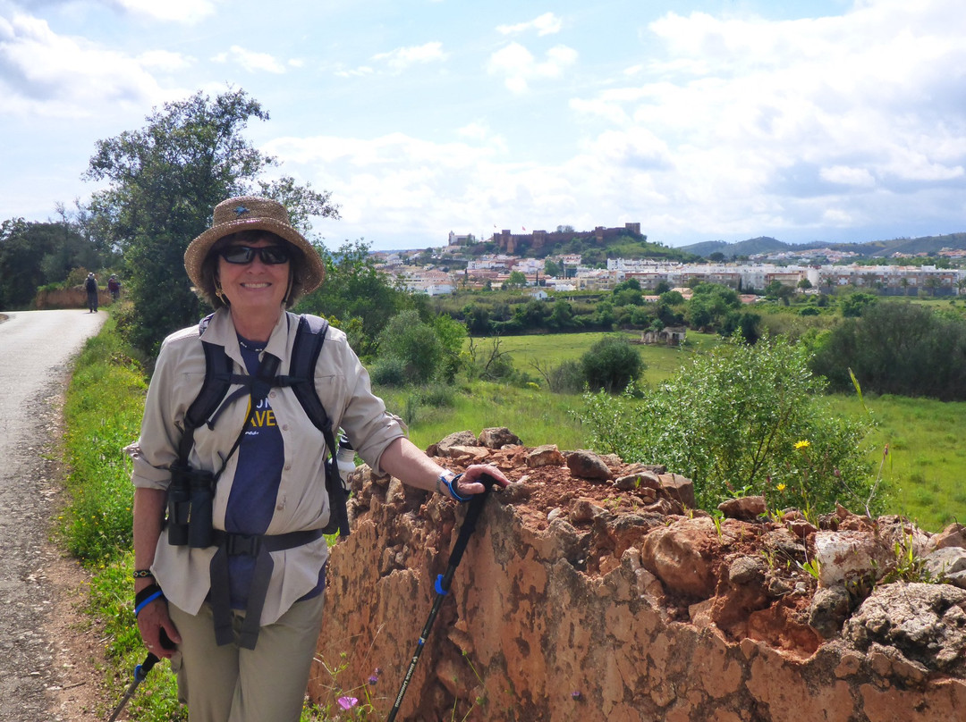 Portugal Walks景点图片