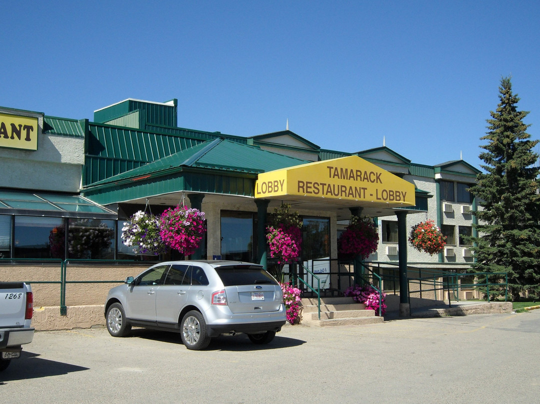 Tamarack Motor Inn主图