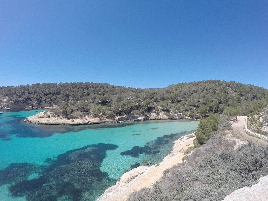 Playa Portals Vells