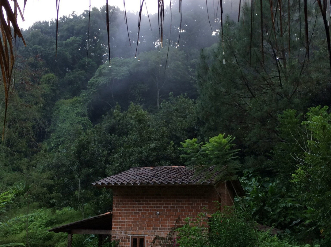 Cabanas La Jicarita主图