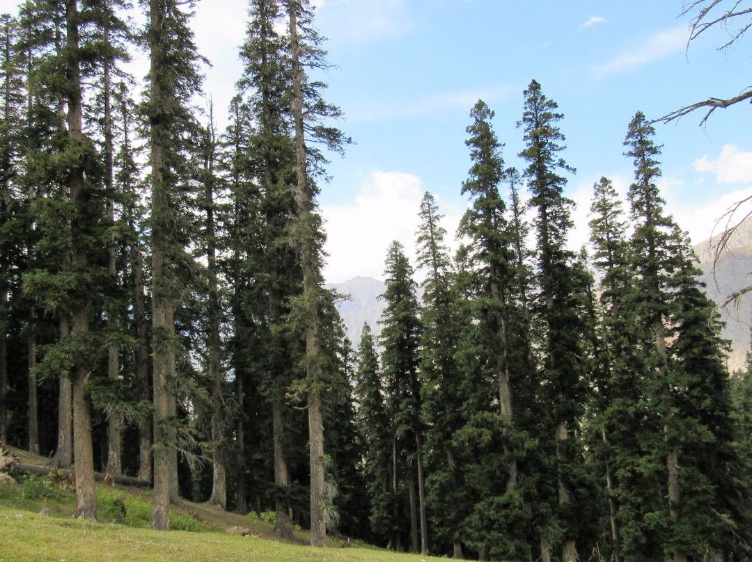 Lalazar-Kaghan必去景点