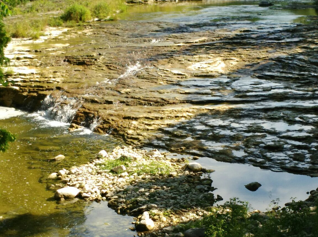 Veteran's Park-伊劳拉必去景点