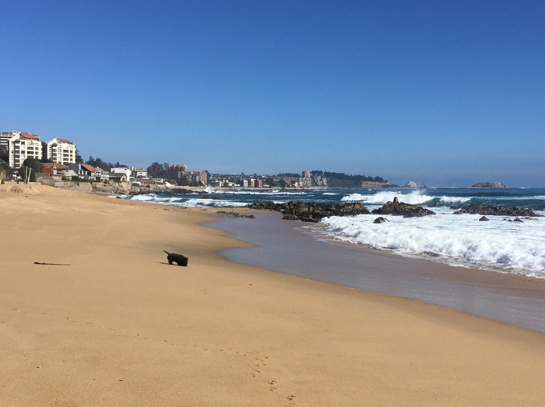 Playa El Pejerrey景点图片