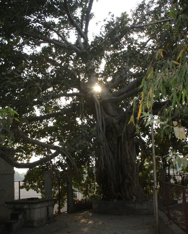 Maharshi Kanva Ashram景点图片