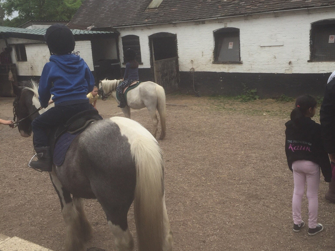 Sandwell Valley Riding Centre景点图片