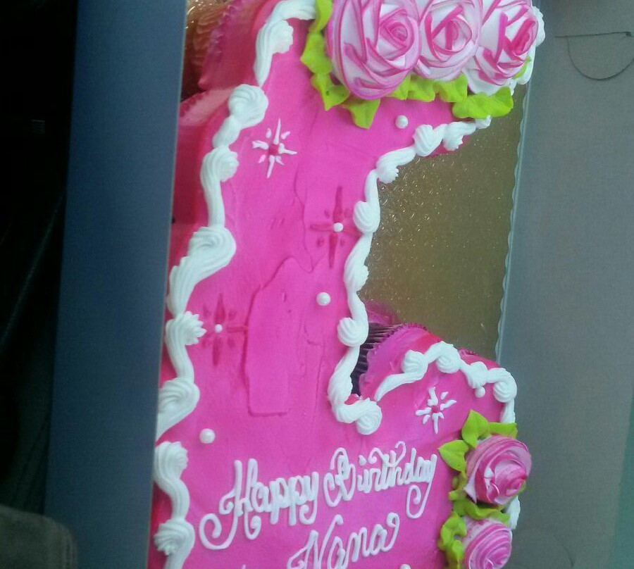 Scooter's Jungle-埃尔塞贡多必去景点