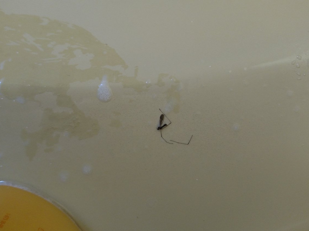 Econo Lodge Inn & Suites