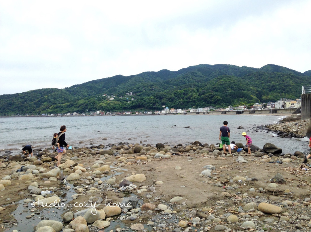 Usami Beach景点图片