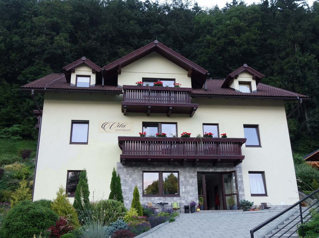 Guest House Vila Pod Lesom