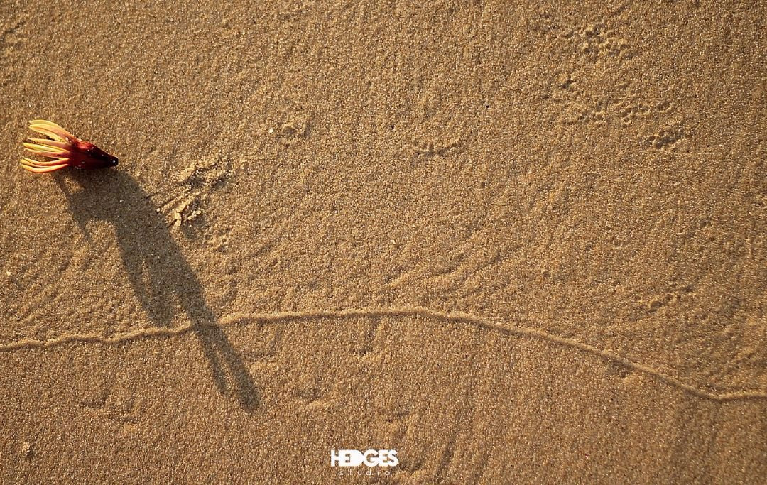 Pulau Batu Mandi-宾图卢必去景点