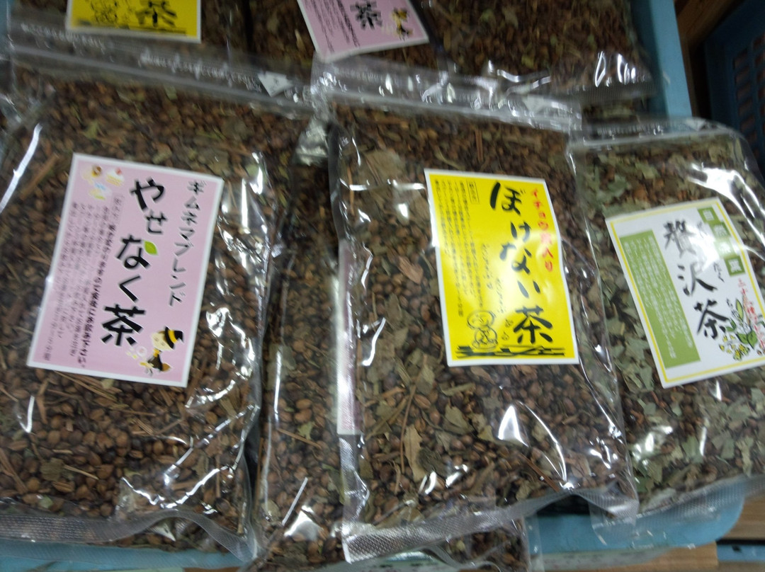 Michi-no-Eki Mizuho-邑南町必去景点