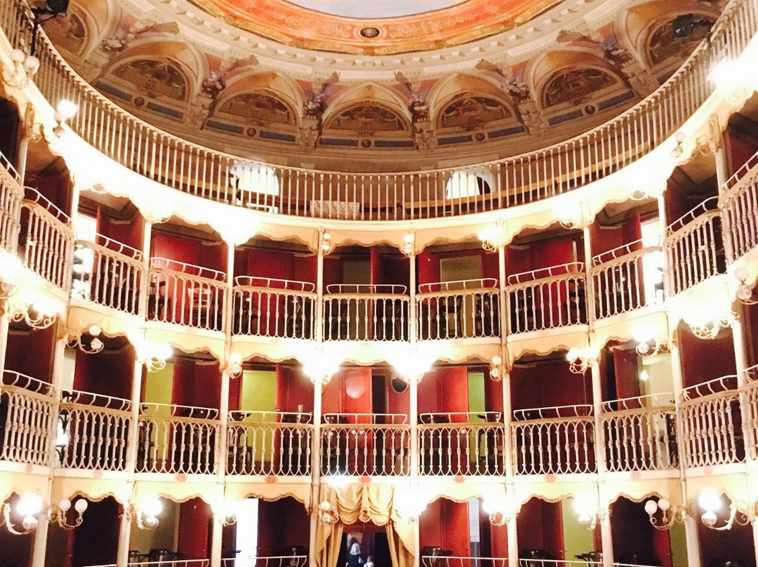Teatro Francesco Torti景点图片