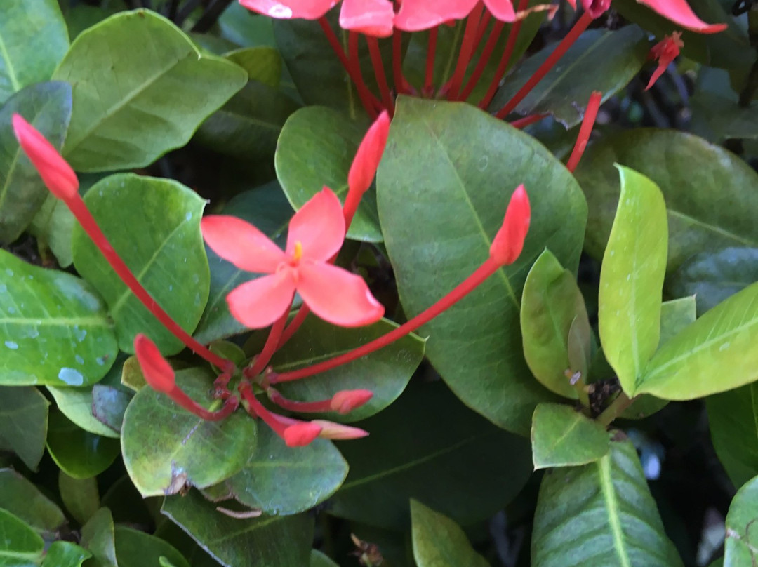 Pine Creek Diggers Rest Motel主图