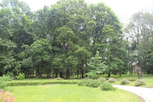 The House of the General Military Judge-Baturyn必去景点